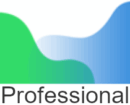 Agisoft Professional licencia standard